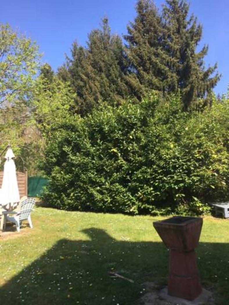 Gite Cosy Proche Fontainebleau Et Foret Noisy-sur-Ecole Екстериор снимка